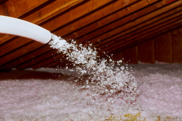 Best Blown-in Insulation  in Cedartown, GA