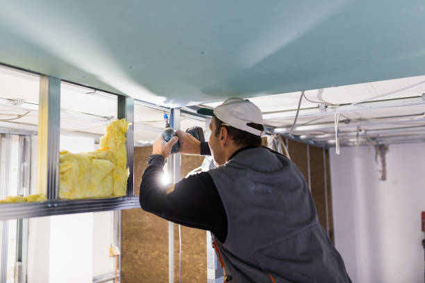 Best Commercial Insulation Contractor  in Cedartown, GA