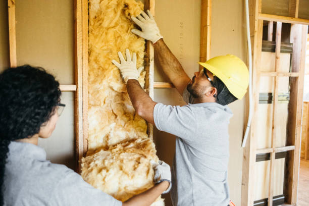 Best Insulation Contractor Near Me  in Cedartown, GA