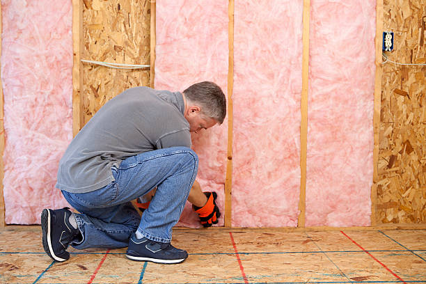 Best Insulation Removal  in Cedartown, GA