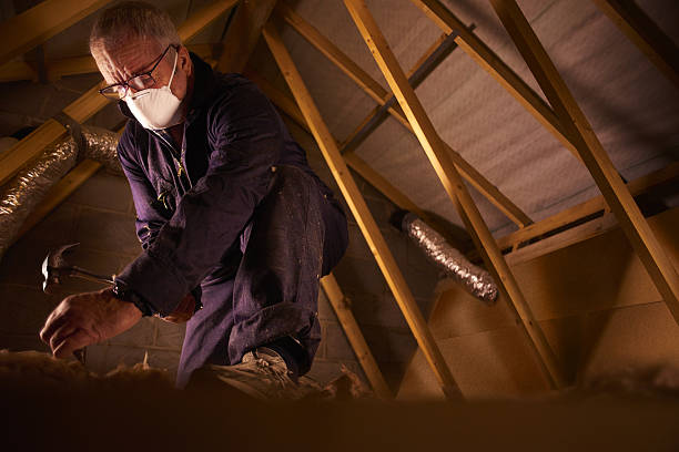 Best Fiberglass Insulation  in Cedartown, GA