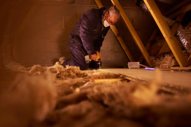 Best Insulation Inspection Services  in Cedartown, GA